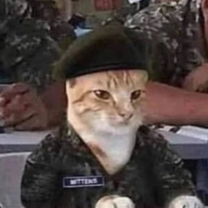 Meet your Posher, I'm a